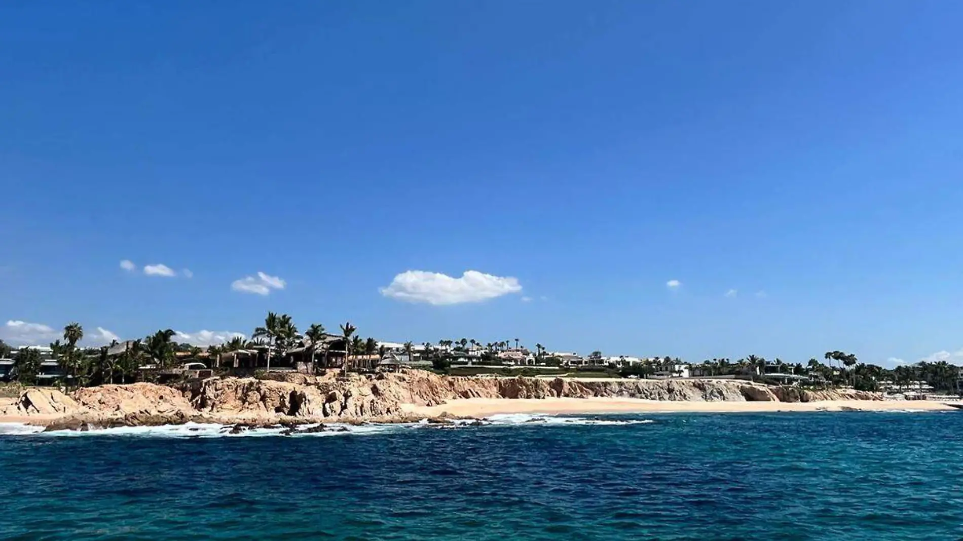 tiburon en playa costa azul los cabos